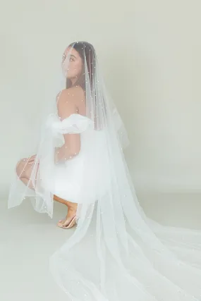 Angela Pearl Embellished Veil White