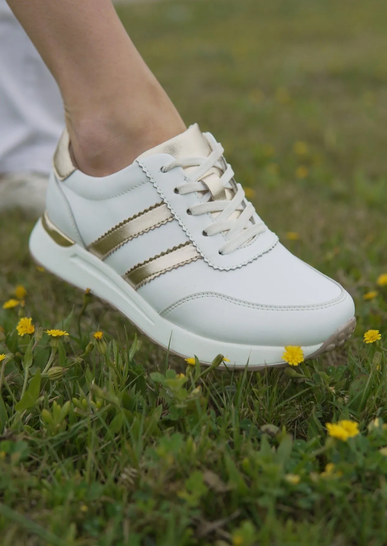 Paxton Sneaker In White And Gold